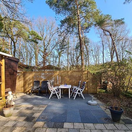 Chalet Boslust Villa IJhorst Eksteriør billede