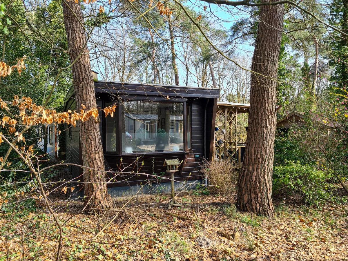 Chalet Boslust Villa IJhorst Eksteriør billede
